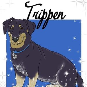 Meet your Posher, Geri